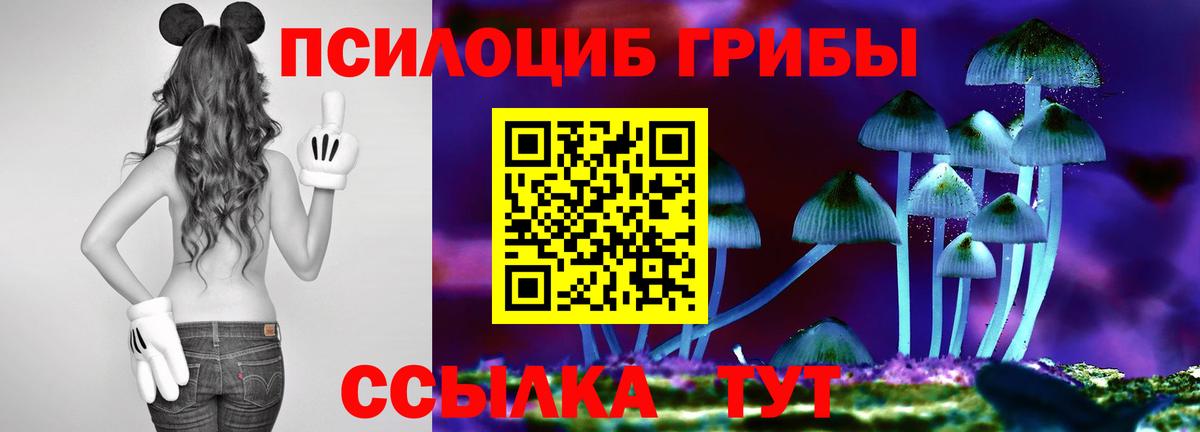 Псилоцибиновые грибы Cubensis Кумертау
